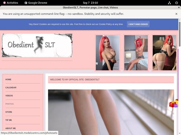 0bedientSLT Site Rip Link