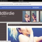 BaddBirdie Euro Direct Debit