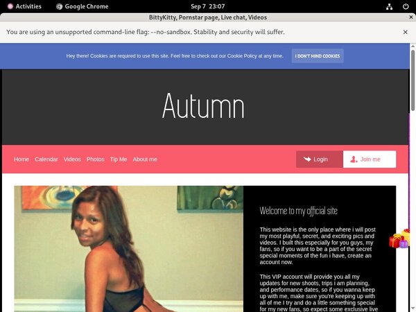 Bittykitty.modelcentro.com Preview