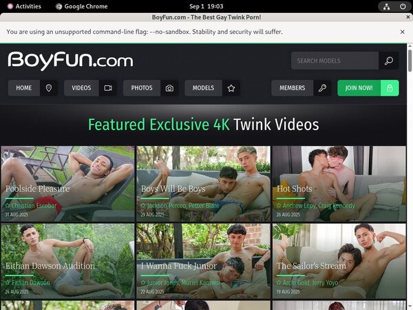 Boy Fun Free Premium Passwords