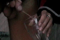 Boys Pissing Free Trial Porn s0