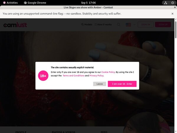 Camlust.com Stockings