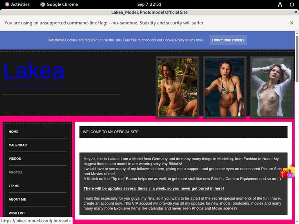Com Lakea-model Discount Membership