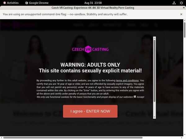 Czechvrcasting.com Porn Login