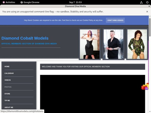 DiamondDivaMedia Discount Passes