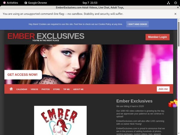 EmberExclusives Discount Logins