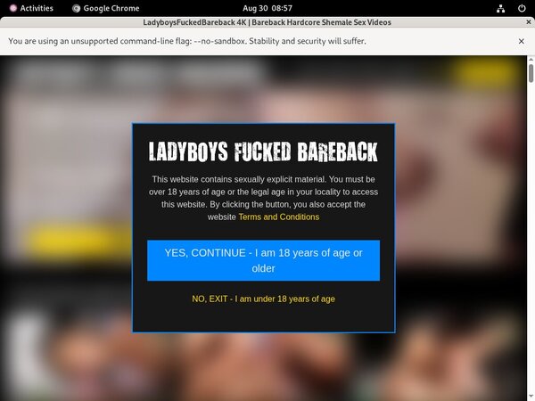 [Image: Free-Ladyboysfuckedbareback-Membership.jpg]