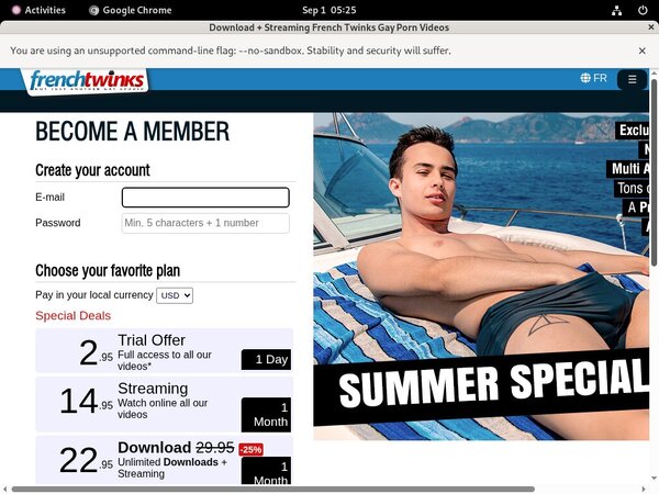 French-twinks.com Porn Reviews