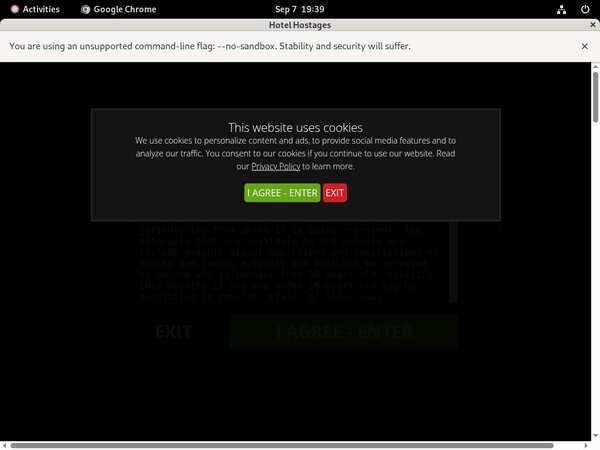 [Image: Full-Hotelhostagescom-Videos.jpg]