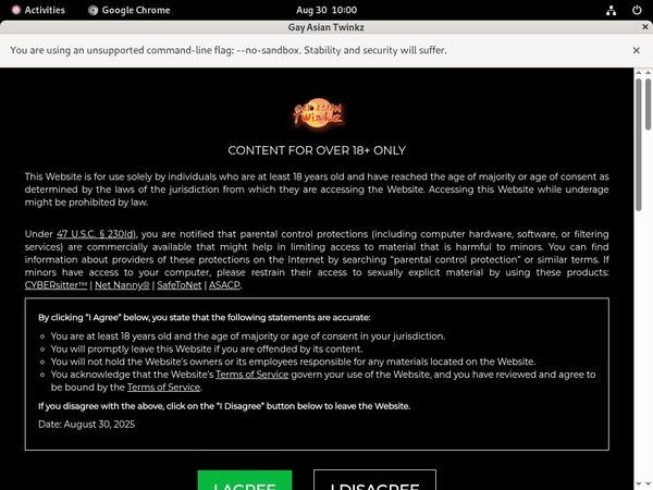 Gay Asian Twinkz Low Price