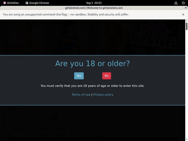 Girls In Steel Discount Passes