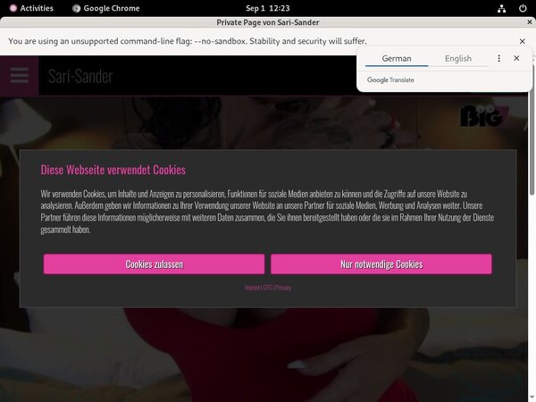 Gratis Sari Sander Konto