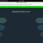 Kitty’s Kuriosities 5k