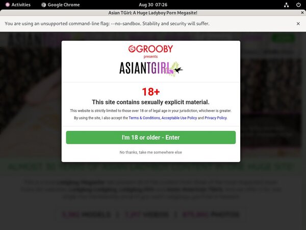 Ladyboy-ladyboy.com Sex Tube