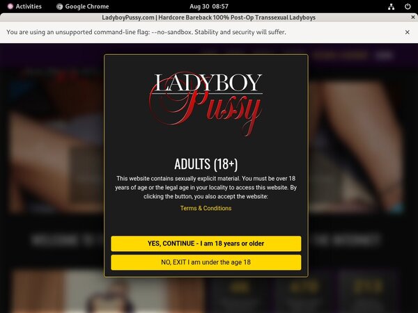 Ladyboypussy.com Site