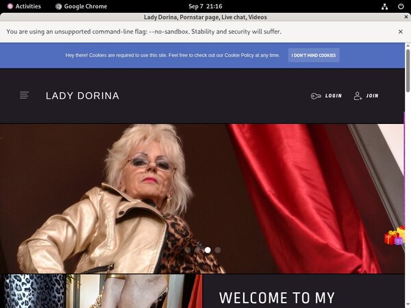 Lady-dorina.com Password Details
