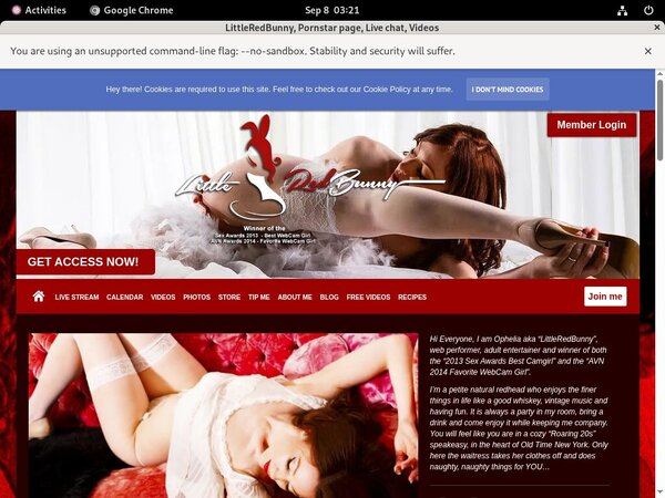 [Image: Log-In-LittleRedBunny.jpg]