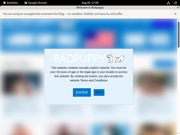 Login To Badpuppy Free