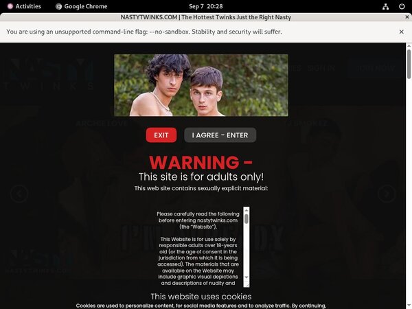 Nasty Twinks Webcams Nasty Twinks Webcams