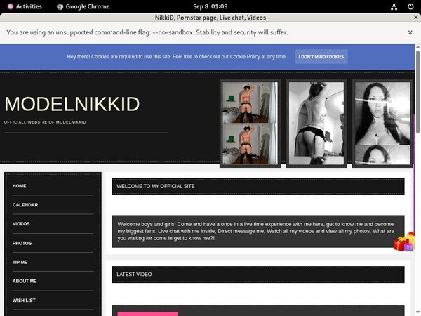 NikkiD Web