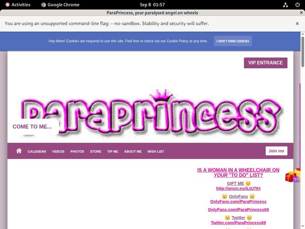 ParaPrincess Password Blog