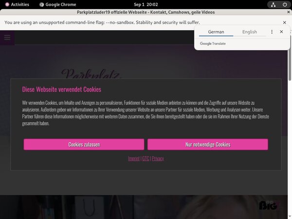 Parkplatzluder19 Premium Account Free