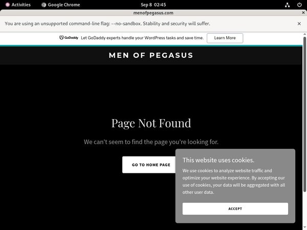 Pegasus_Studios Real Passwords