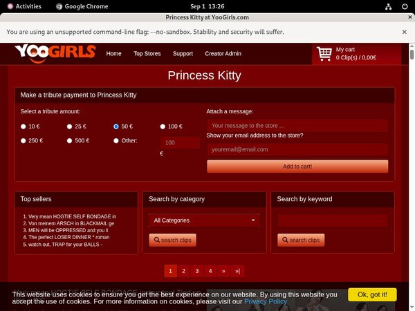 Princess Kitty Active Password