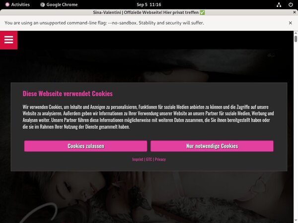 SinaValentini Site Passwords