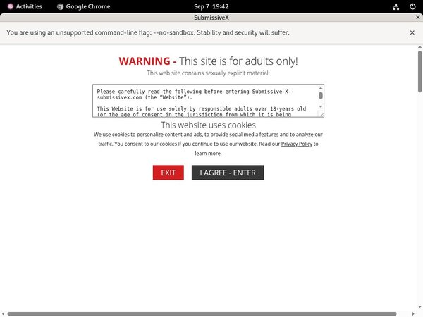 Submissive X Password Generator