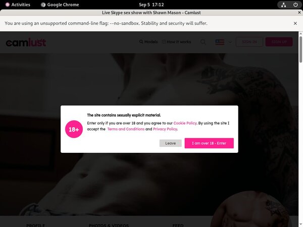 Use Paypal Camlust.com