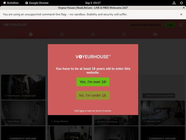 Voyeur House Guys