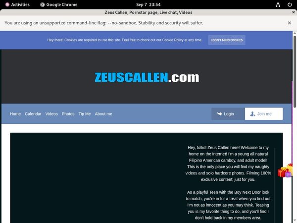Zeuscallmodelcentro.com Home Page