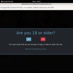 Girls In Steel Centrobill